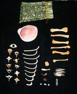 Oracle Bone Set - All Porcupine Bones