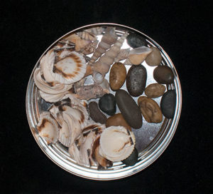 Some stones and shells from the dollar store. A variety of shells and stones can expand your set easily. Not everyone lives near a body of water and the dollar store is less expensive than ebay and other online sources