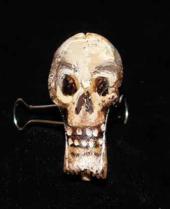 This skull is one of my favorite pieces. It is held up with a paper clamp so that the front can be seen.