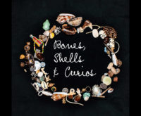 Bones, Shells, and Curios Logo